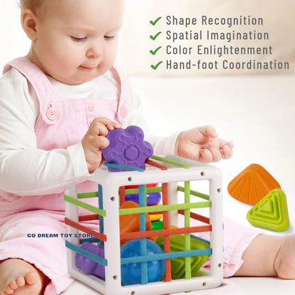 ColorQuest Junior: Montessori Blocks for Early Development