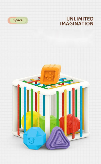 ColorQuest Junior: Montessori Blocks for Early Development