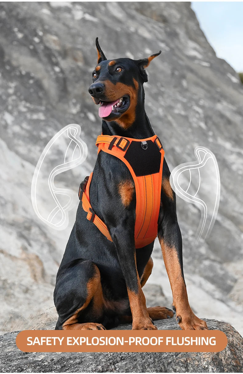 Truelove Nylon Reflective Dog Harness - No Pull, Step-In Comfort