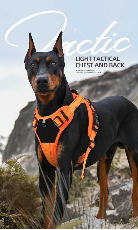 Truelove Nylon Reflective Dog Harness - No Pull, Step-In Comfort